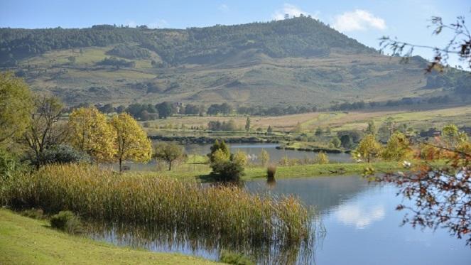 Experience & Explore The Dullstroom Countryside