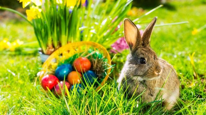 POSTPONED: The Sylvia's Easter Market And Easter Egg Hunt
