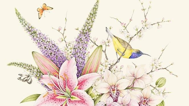 Kelly Higgs Solo Exhibition