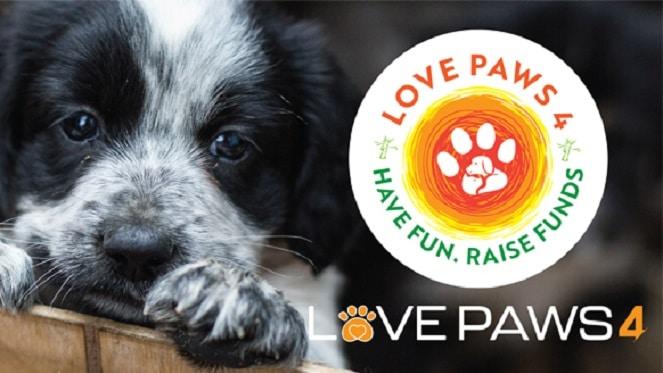 POSTPONED: Don't Miss The 4th Annual Love Paws Concert!