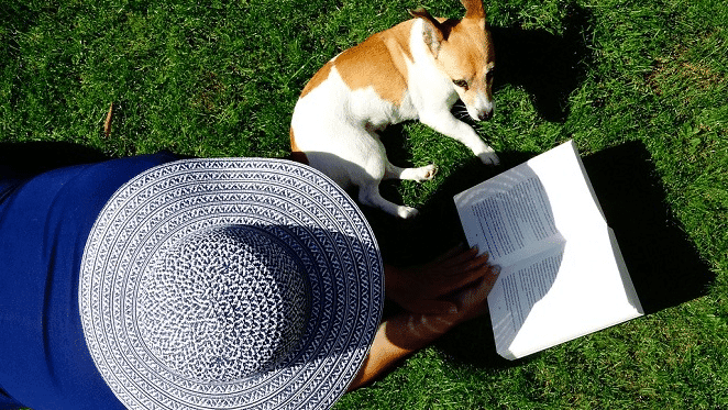 SPCA Quiz Night In Modderfontein