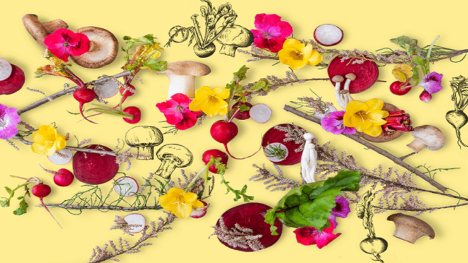 The Flavour Academy by Café del Sol is Back!