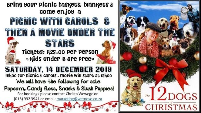 Picnic with carols and a movie under the stars!