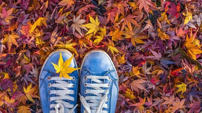 Here's Our Musts For The Month Of May!