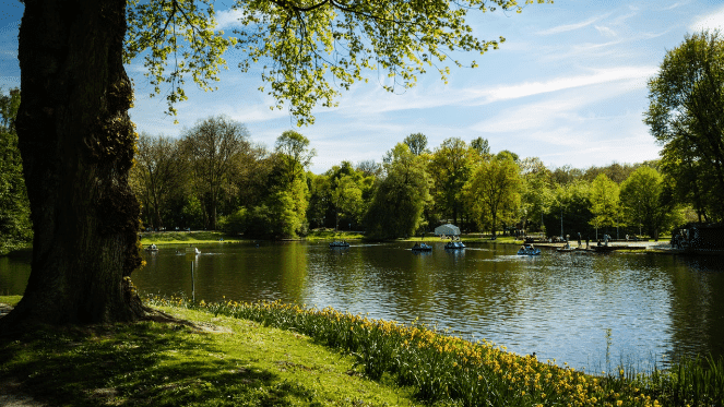 Best Parks In Joburg