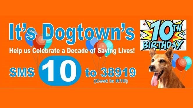 Dogtown SA turns 10!