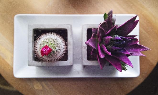 Cool Things To Help You Keep Fit In Jozi