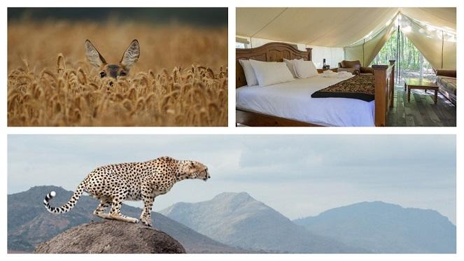 Glamping Glamour: Affordable Vs Upmarket Glamping