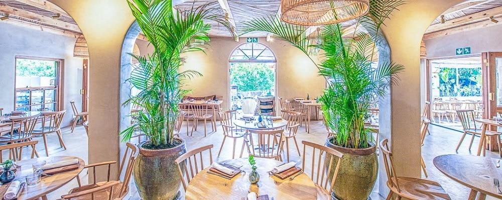 Kolonaki Greek Kouzina – A Mediterranean Delight in Parkhurst