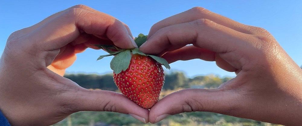 The Cradle Berry Farm: Discover Muldersdrift’s Sweet Spot