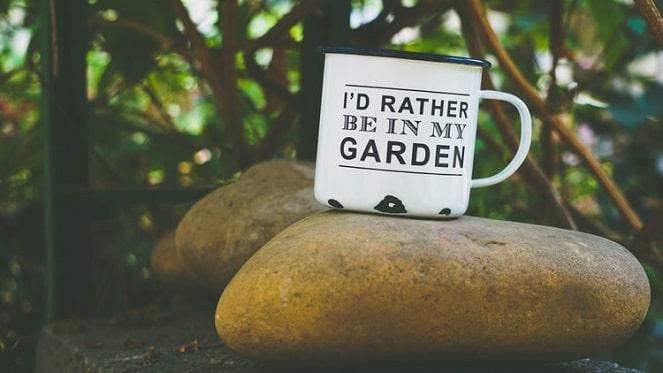 Mini Zen Gardens And Where To Buy Them