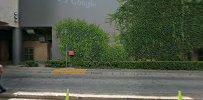 Forever New Rosebank