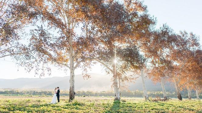 Wedding Venues & Conference Centres In Hartbeespoort