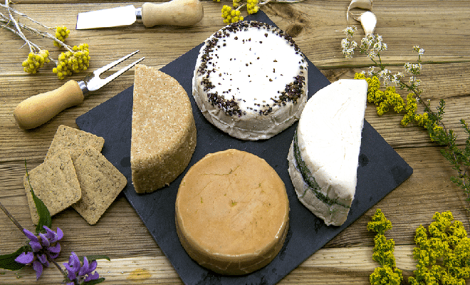The Best Vegan Cheese
