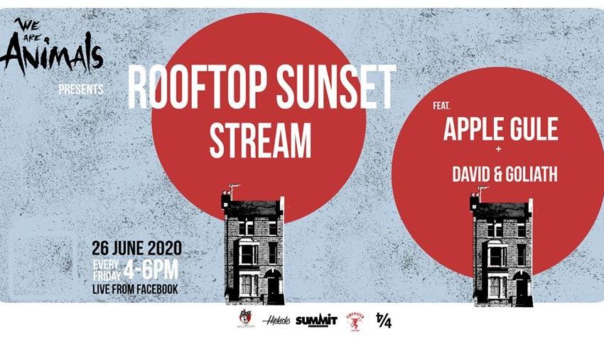 Rooftop Sunset Stream