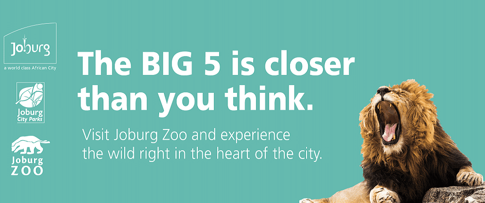 At The Johannesburg Zoo, The Wild Is Closer Than You Think!
