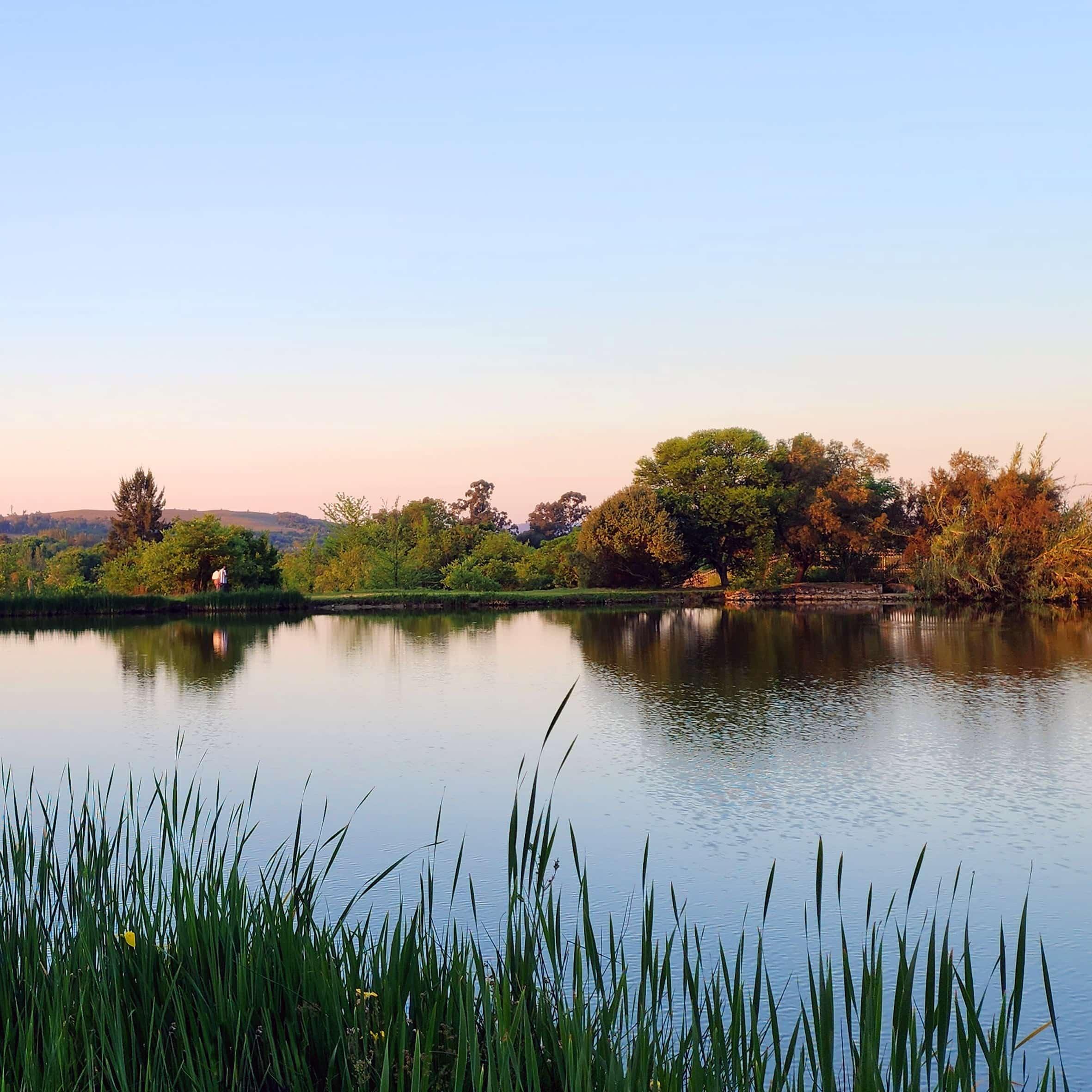 The Fat Olive: Lanseria’s Best-Kept Secret for Food, Stays & Celebrations