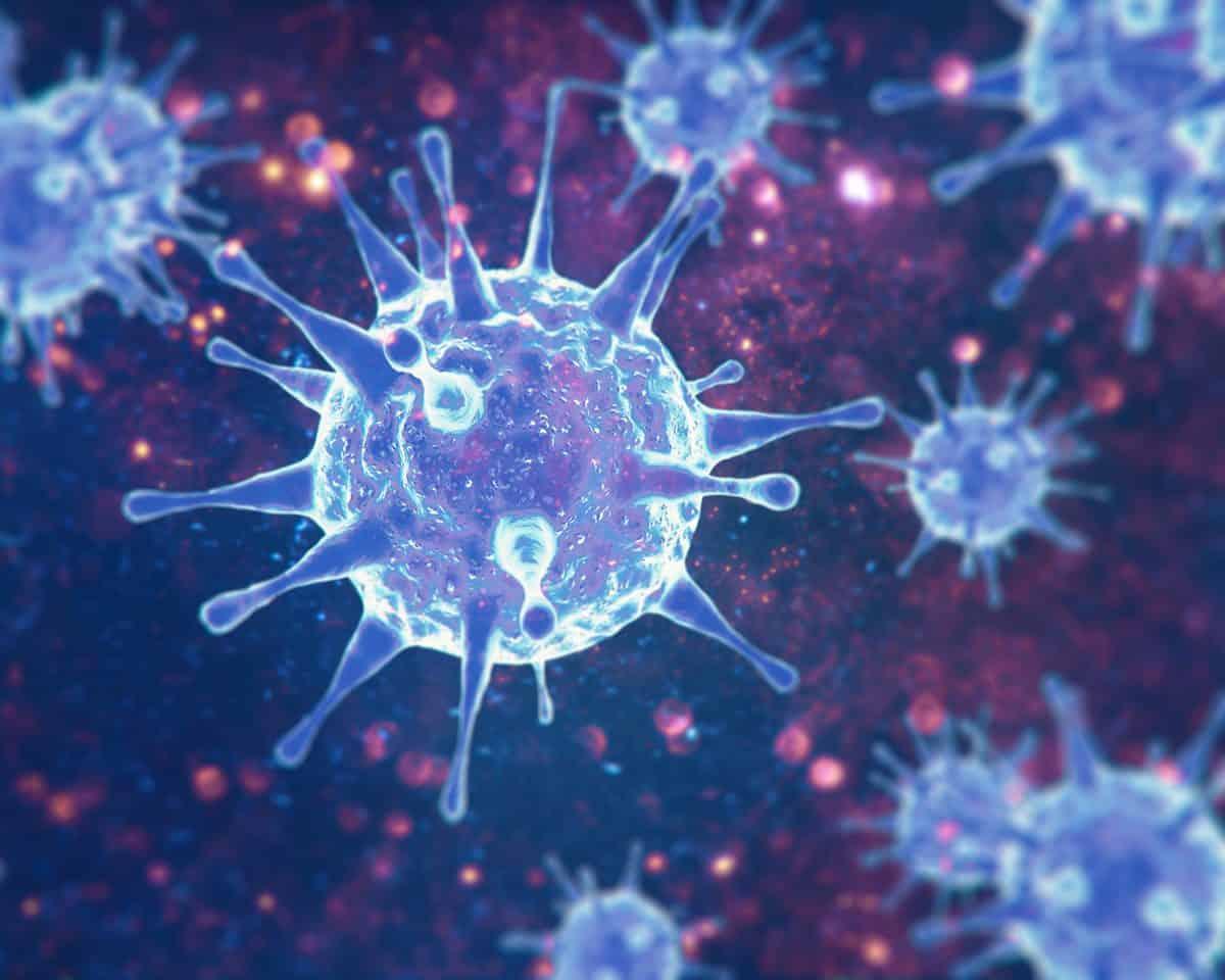 Coronavirus explained: Netflix mini-series released in South Africa