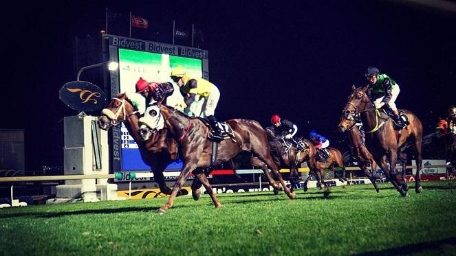 Equinity La Calavera