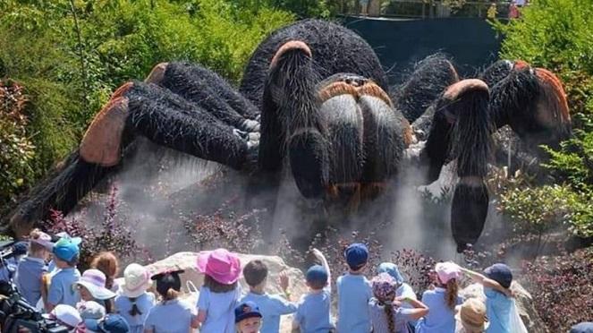 Big Bug Expo At Rivonia Central