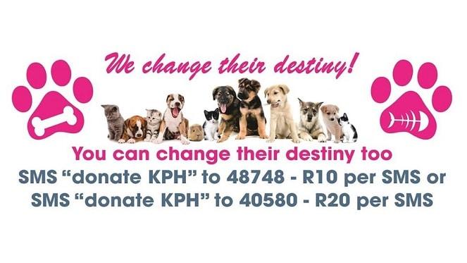 Kitty And Puppy Haven Are In Need Of A Helping Hand