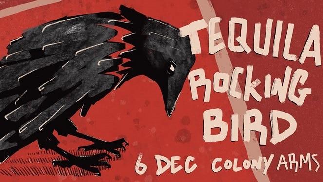 Tequila Rockingbird