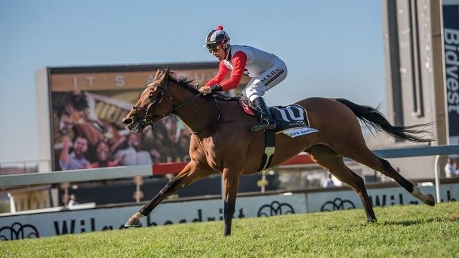 Don't Miss The Thrilling & Delicious Joburg Prawn Festival!