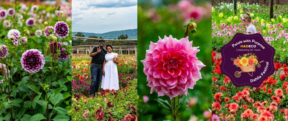 Event: Petals With Purpose Dahlia Festival