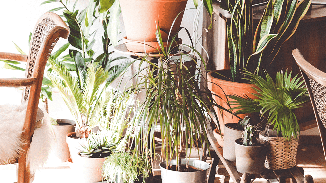 Ways To Circulate Fresh Air At Home