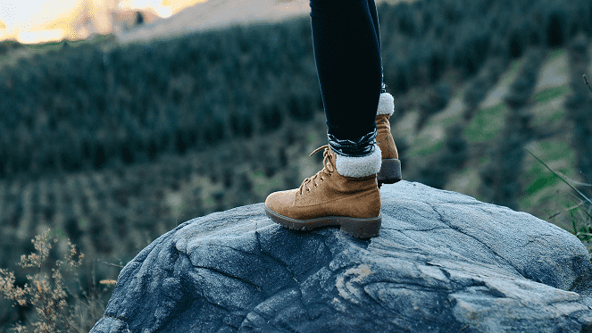 Autumn And Winter Fashion Lives Online