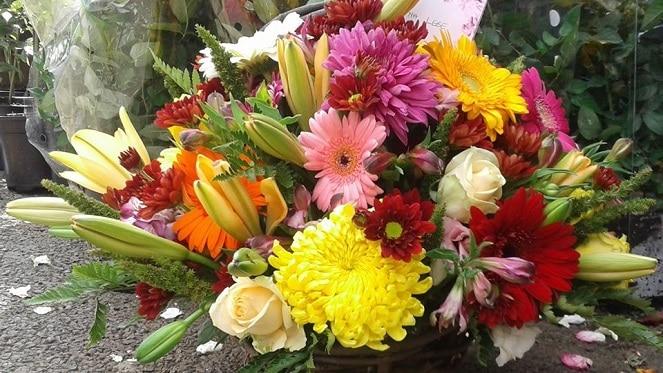 Auckland Park Florist
