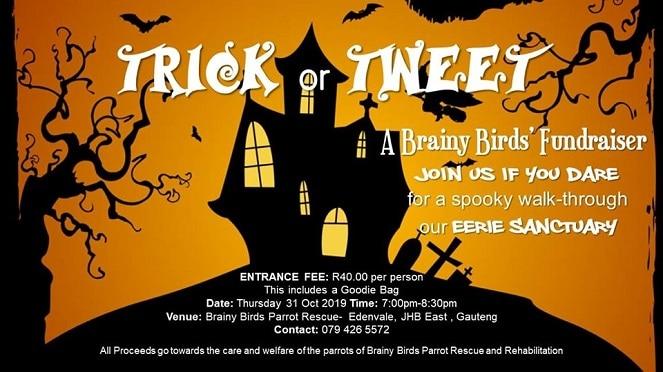 Trick or Tweet- Brainy Birds Halloween Fundraiser