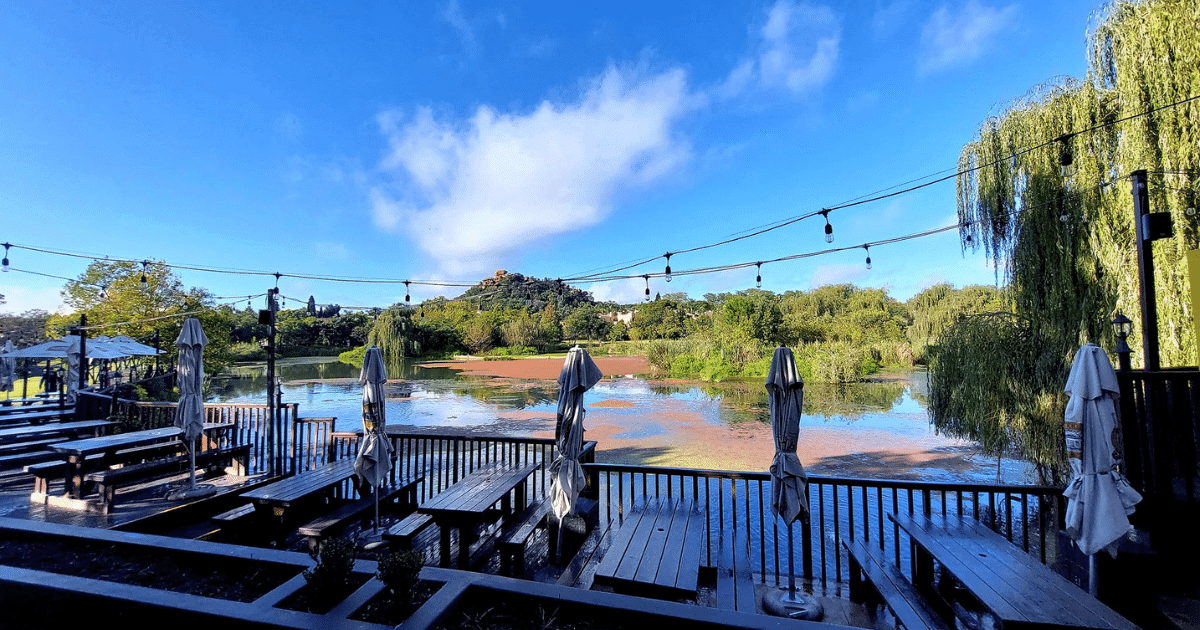 Flavourful Heritage: The Braai Room Experience