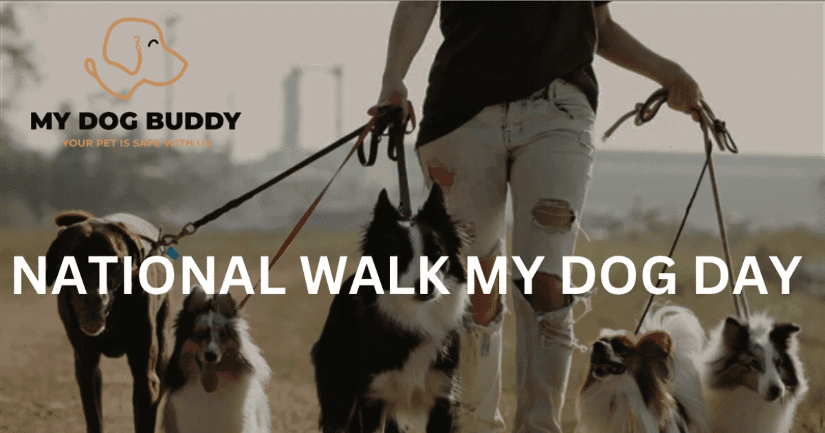Celebrate National Walk My Dog Day With My Dog Buddy