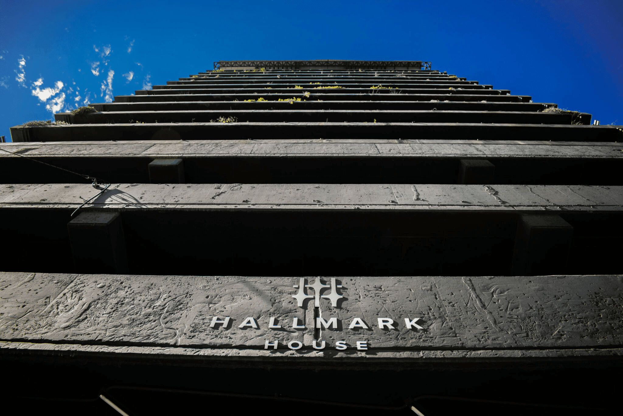 Discover Hallmark House in Maboneng: Where Art, Culture & Urban Luxury Meet