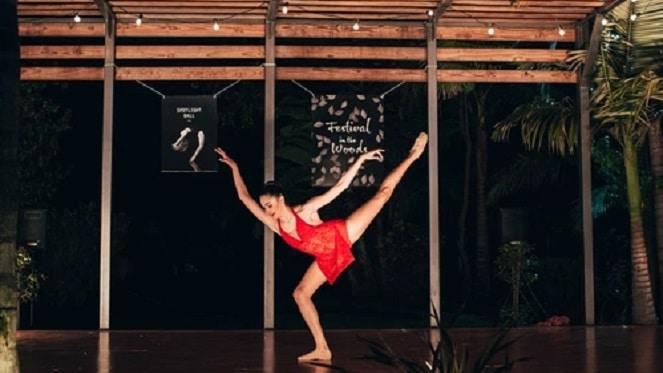 Festival In The Woods