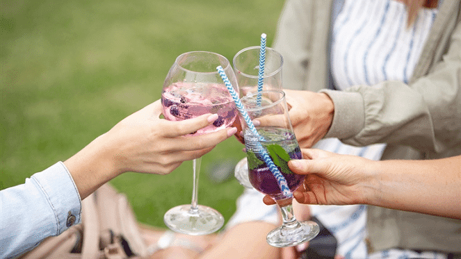 Joburg Gin & Tonic Festival