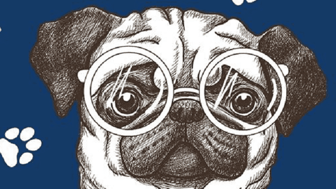 SPCA Sandton Pub Quiz