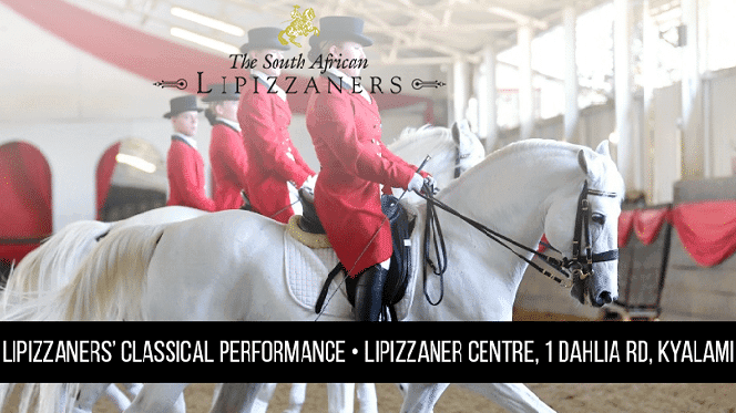 The South Africa Lipizzaners' Classical Performance