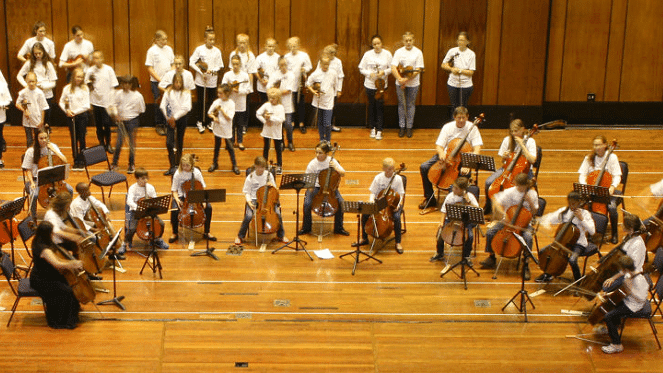 Suzuki National Concert