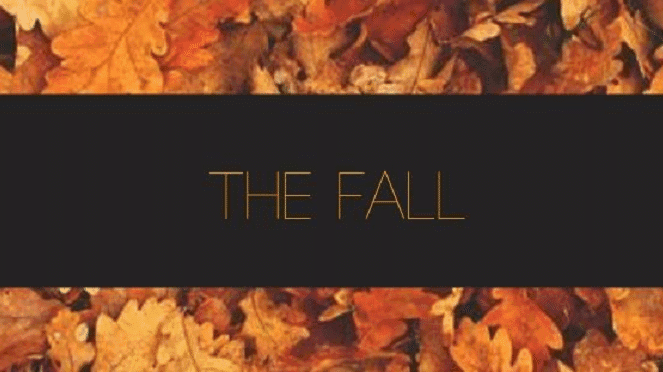 Connect And Chill Presents The Fall