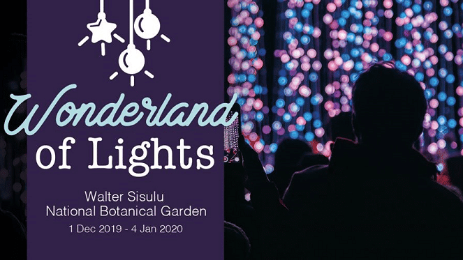 Wonderland Of Lights