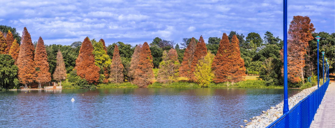Taking a Stroll Through the Gardens and Nature Reserves of Johannesburg