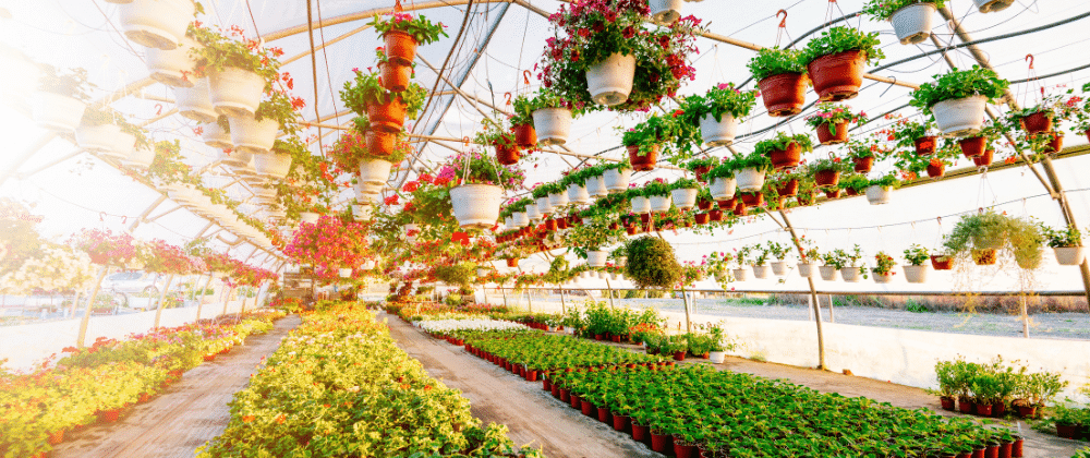 Top Nurseries in Pretoria