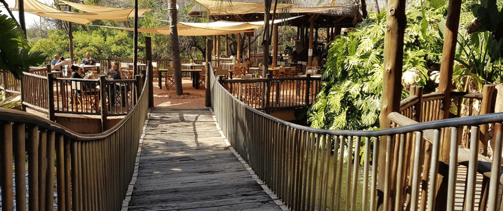 Family Fun Amidst Blooms: Safari Garden Centre's Enchanting Escape for All Age