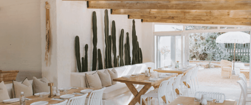 The Terrace: A Mediterranean-Inspired Culinary Haven