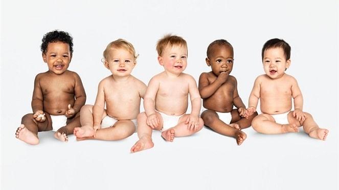 Fertility Show Africa