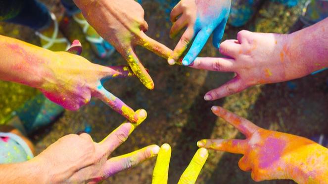 Florida Family Braai Picnic & Colour Festival