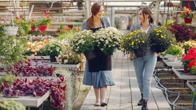 The Best Garden Centres and Plant Nurseries In Joburg
