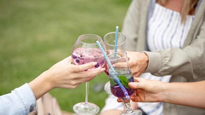 Joburg Gin & Tonic Festival Supported By Fitch & Leedes